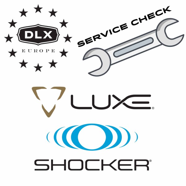 Regular Service Check - DLX LUXE - SHOCKER (from RSX)